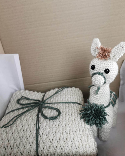 Crochet Llama Baby Gift Box